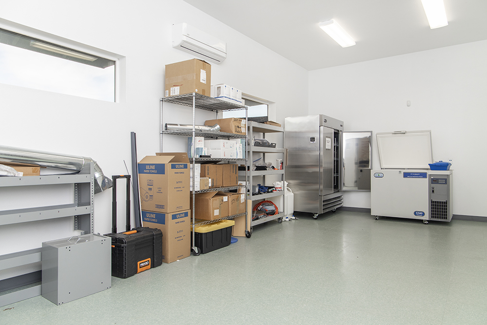 Dedicated flammable chemical storage room with fire-rated construction and ventilation.