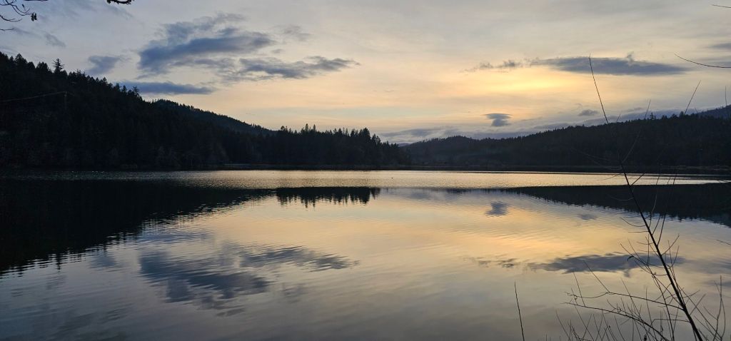 20260128_1710188986964520638103571